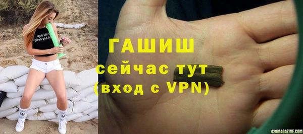 ГАЛЛЮЦИНОГЕННЫЕ ГРИБЫ Белокуриха