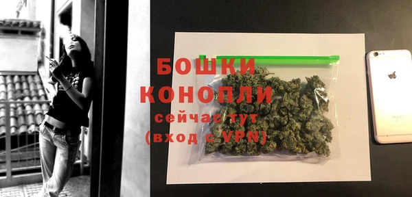 ГАЛЛЮЦИНОГЕННЫЕ ГРИБЫ Белокуриха