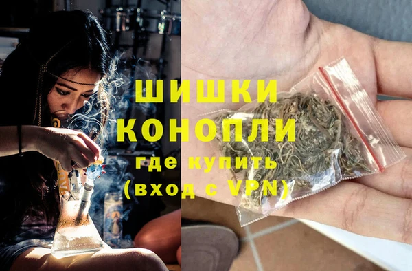 ГАЛЛЮЦИНОГЕННЫЕ ГРИБЫ Белокуриха