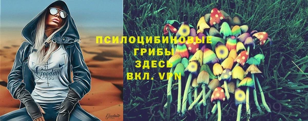 ГАЛЛЮЦИНОГЕННЫЕ ГРИБЫ Белокуриха