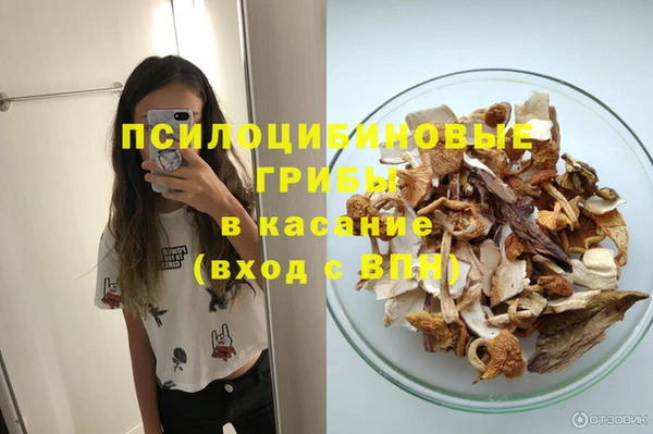 ГАЛЛЮЦИНОГЕННЫЕ ГРИБЫ Белокуриха