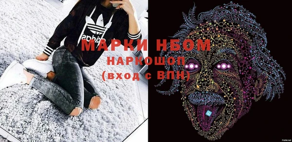 ГАЛЛЮЦИНОГЕННЫЕ ГРИБЫ Белокуриха