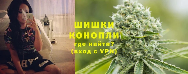 ГАЛЛЮЦИНОГЕННЫЕ ГРИБЫ Белокуриха