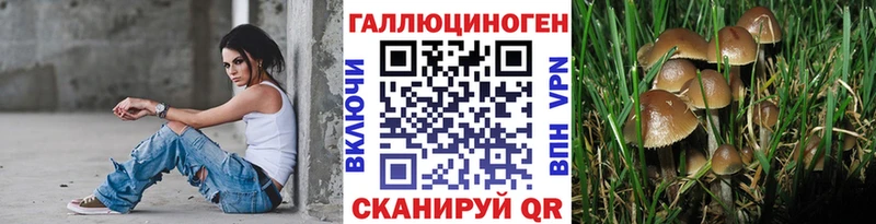 МЕГА зеркало  Южа  Псилоцибиновые грибы Psilocybine cubensis  купить  цена 